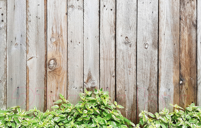 Фотофасад Arthata Доски / FotoSetka-250-55 - фото