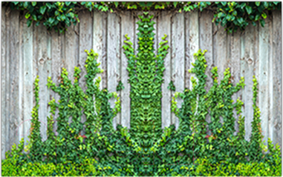 Фотофасад Arthata Плющ / FotoSetka-250-56 - фото