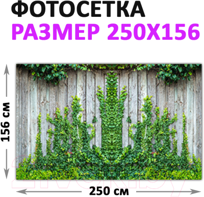 Фотофасад Arthata Плющ / FotoSetka-250-56