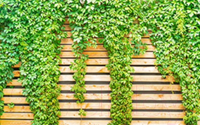 Фотофасад Arthata Зелень / FotoSetka-250-61 - фото