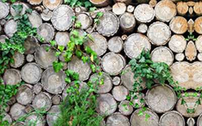 Фотофасад Arthata FotoSetka-250-62 - фото