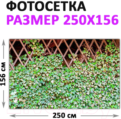 Фотофасад Arthata Плющ / FotoSetka-250-63