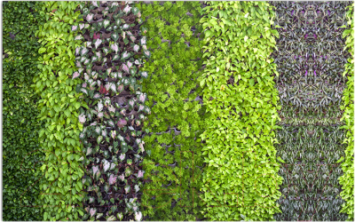 Фотофасад Arthata Листья / FotoSetka-250-64 - фото