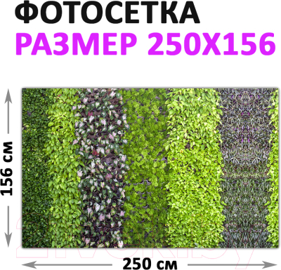 Фотофасад Arthata Листья / FotoSetka-250-64