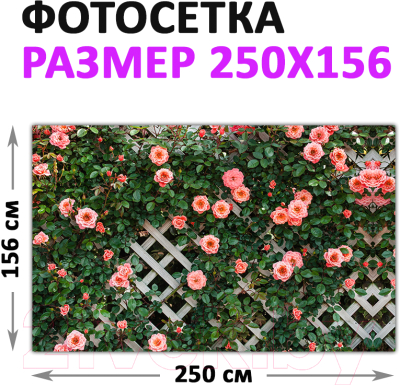 Фотофасад Arthata Цветы / FotoSetka-250-77