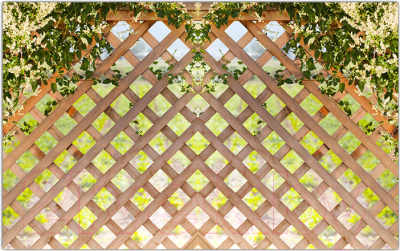 Фотофасад Arthata Плетенье / FotoSetka-250-79 - фото