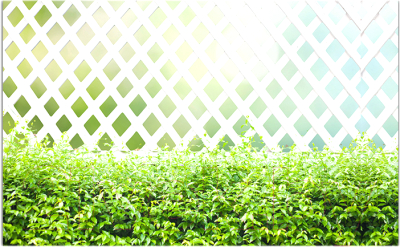 Фотофасад Arthata Плетенье / FotoSetka-250-80 - фото