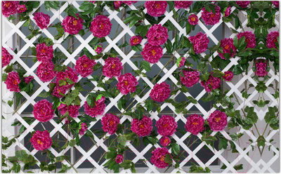 Фотофасад Arthata Плетенье / FotoSetka-250-81 - фото