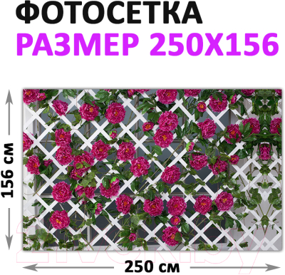 Фотофасад Arthata Плетенье / FotoSetka-250-81