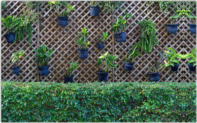 Фотофасад Arthata Кусты / FotoSetka-250-82 - фото