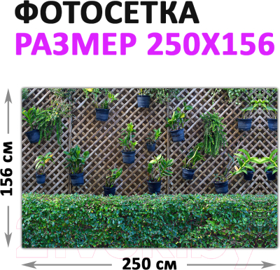 Фотофасад Arthata Кусты / FotoSetka-250-82