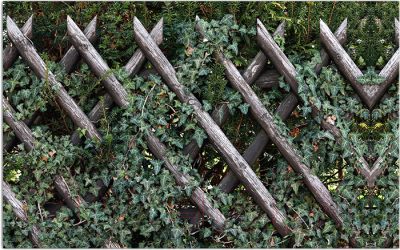 Фотофасад Arthata Плетенье / FotoSetka-250-83 - фото