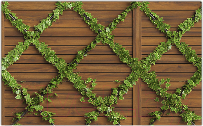 Фотофасад Arthata Плющ / FotoSetka-250-85 - фото