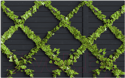 Фотофасад Arthata Плющ / FotoSetka-250-87 - фото