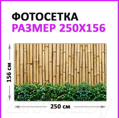 Фотофасад Arthata FotoSetka-250-2