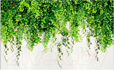 Фотофасад Arthata Плющ / FotoSetka-250-30 - фото