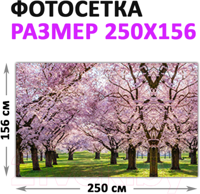 Фотофасад Arthata Сакура / FotoSetka-250-33