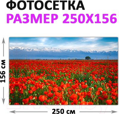 Фотофасад Arthata Маки / FotoSetka-250-36