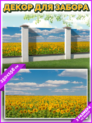 Фотофасад Arthata Небо / FotoSetka-250-37