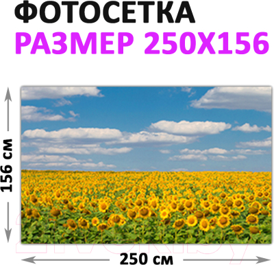 Фотофасад Arthata Небо / FotoSetka-250-37