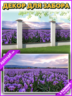 Фотофасад Arthata Лаванда / FotoSetka-250-38