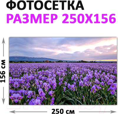 Фотофасад Arthata Лаванда / FotoSetka-250-38