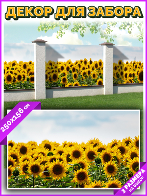 Фотофасад Arthata Подсолнух / FotoSetka-250-39