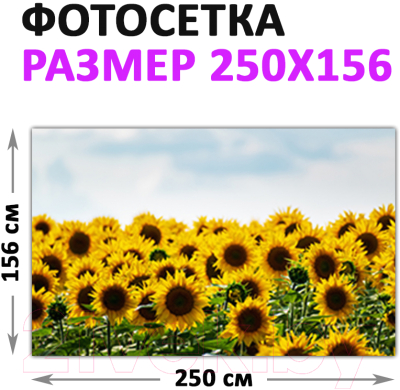 Фотофасад Arthata Подсолнух / FotoSetka-250-39