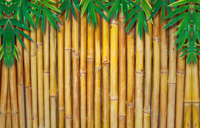 Фотофасад Arthata Доски / FotoSetka-250-3 - фото