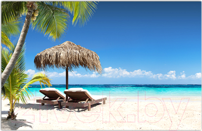 Фотофасад Arthata Пляж, пальмы, море / FotoSetka-250-115 - фото