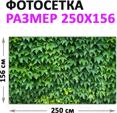 Фотофасад Arthata Кусты / FotoSetka-250-12