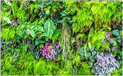 Фотофасад Arthata Листья / FotoSetka-250-13 - фото