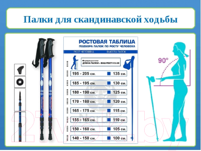 Палки для скандинавской ходьбы Gold Cup 35ST