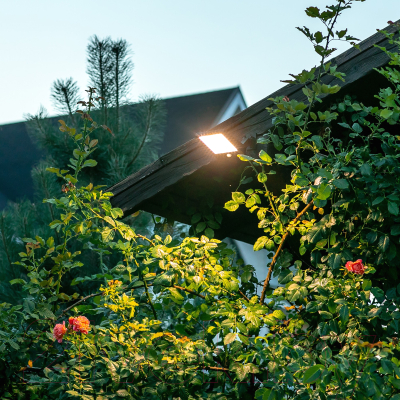 Светильник уличный Uniel Sensor USL-F-561/PT165 / UL-00009345