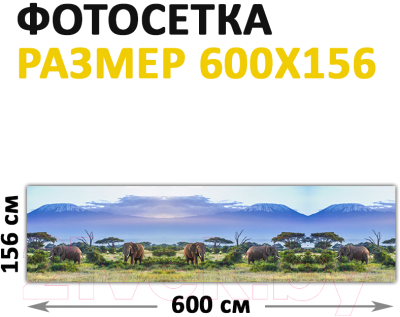 Фотофасад Arthata Слоны / FotoSetka-600-18