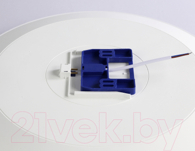 Потолочный светильник Ambrella FZ1222 (белый)