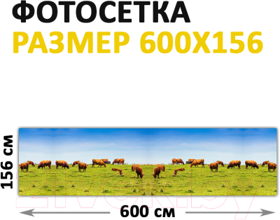 Фотофасад Arthata Поле / FotoSetka-600-21