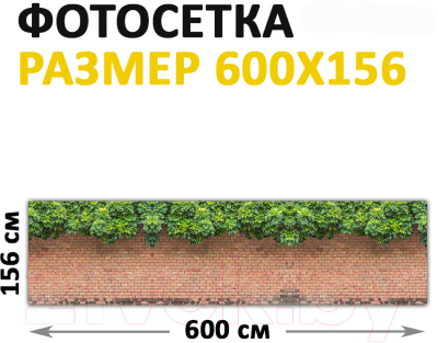 Фотофасад Arthata Виноград / FotoSetka-600-27