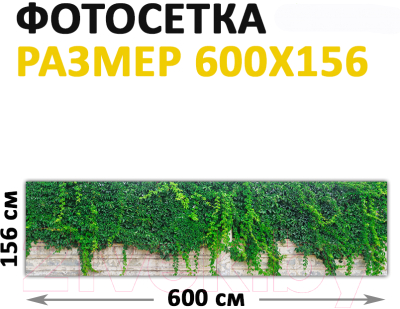 Фотофасад Arthata FotoSetka-600-29