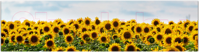 Фотофасад Arthata Подсолнух / FotoSetka-600-39 - фото