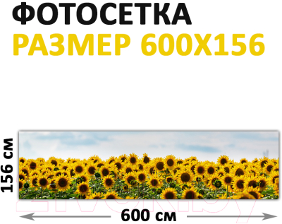 Фотофасад Arthata Подсолнух / FotoSetka-600-39