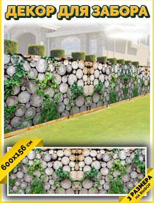 Фотофасад Arthata FotoSetka-600-62