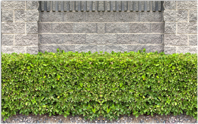 Фотофасад Arthata Кусты / FotoSetka-600-65 - фото