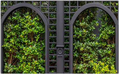 Фотофасад Arthata Кусты / FotoSetka-600-69 - фото