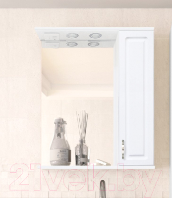 Шкаф с зеркалом для ванной Style Line Олеандр-2 65 (с подсветкой)