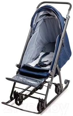 Санки-коляска GalaXy Kids 3-3С