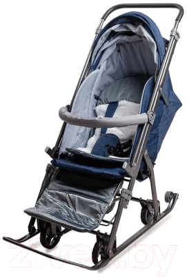 Санки-коляска GalaXy Kids 3-3С