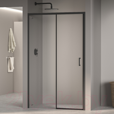 Душевая дверь RGW PA-017-B / 350801713-14