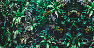 Фотофасад Arthata Листья / FotoSetka-300-11 - фото