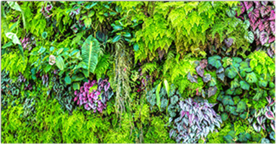 Фотофасад Arthata Листья / FotoSetka-300-13 - фото